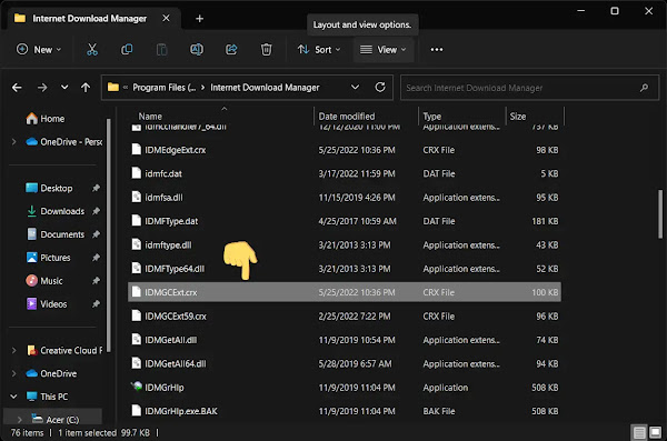 IDMGCExt.crx file for Brave Browser