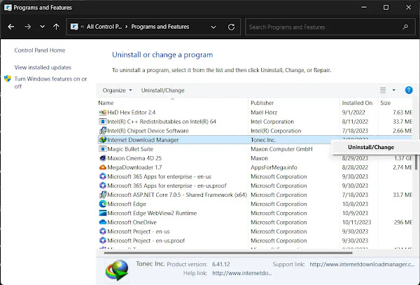 Uninstall the Old IDM Version from Control Panel