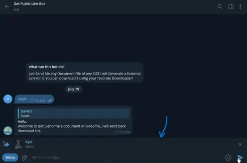 Forward the Telegram file you want to download to online telegram file downloader bot