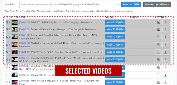 select videos on youtubeplaylist.cc to download